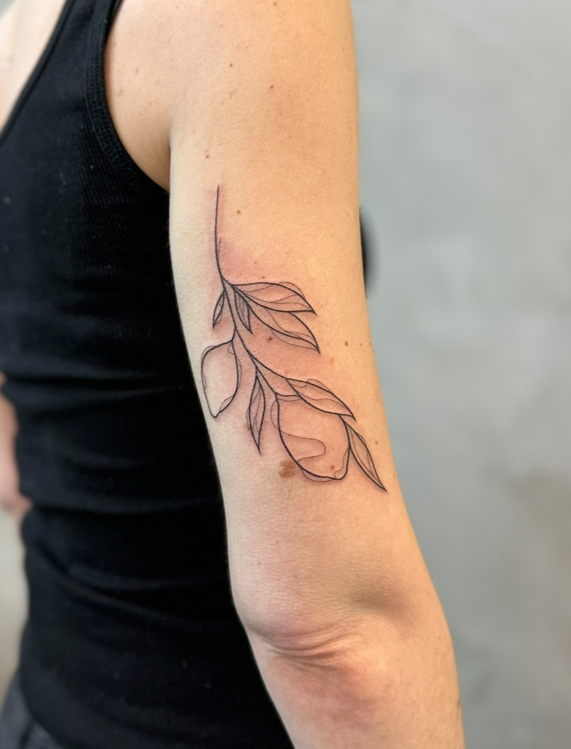 Branche — bras